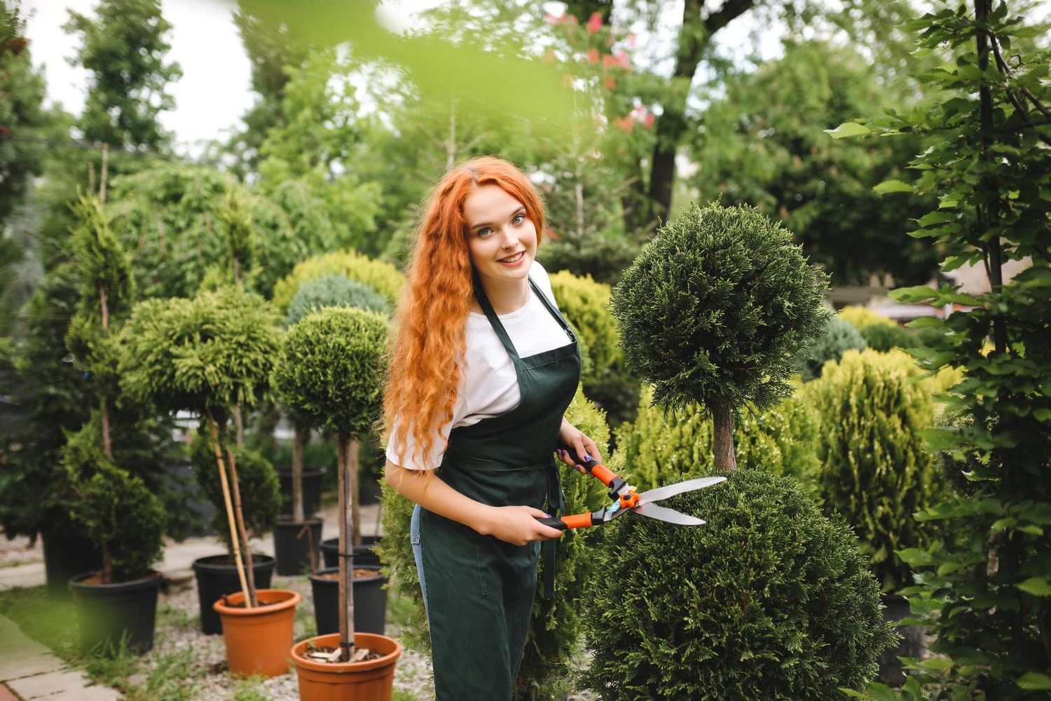 Turn your garden into the perfect place with our professional cleaning and maintenance