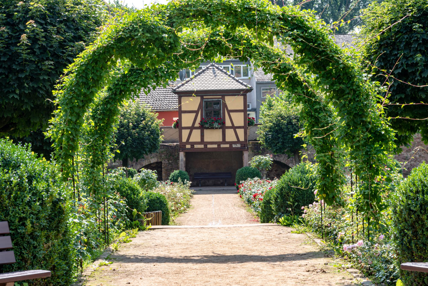 Transform your garden with exquisite arches and pergolas into a unique space